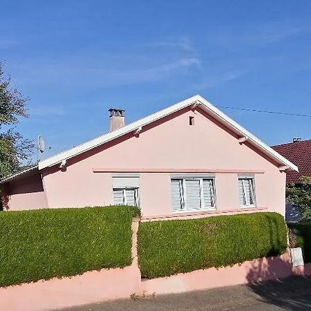Superbe Maison 3 Chambres 1 Etage Et Sous-Sol, Avec Jardin Et Terrasse Altkirch Zewnętrze zdjęcie