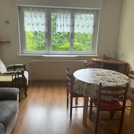 Superbe Maison 3 Chambres 1 Etage Et Sous-Sol, Avec Jardin Et Terrasse Altkirch Zewnętrze zdjęcie