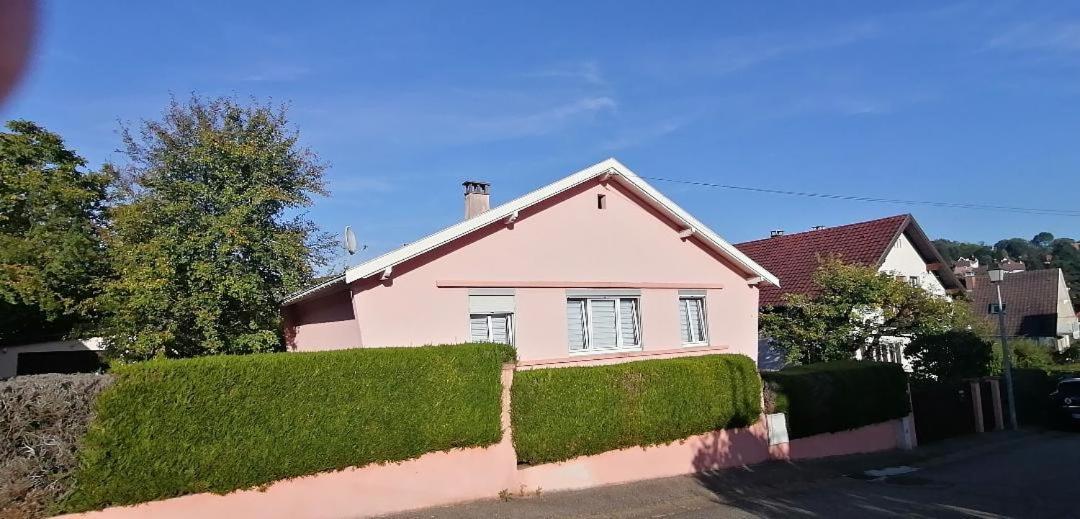Superbe Maison 3 Chambres 1 Etage Et Sous-Sol, Avec Jardin Et Terrasse Altkirch Zewnętrze zdjęcie