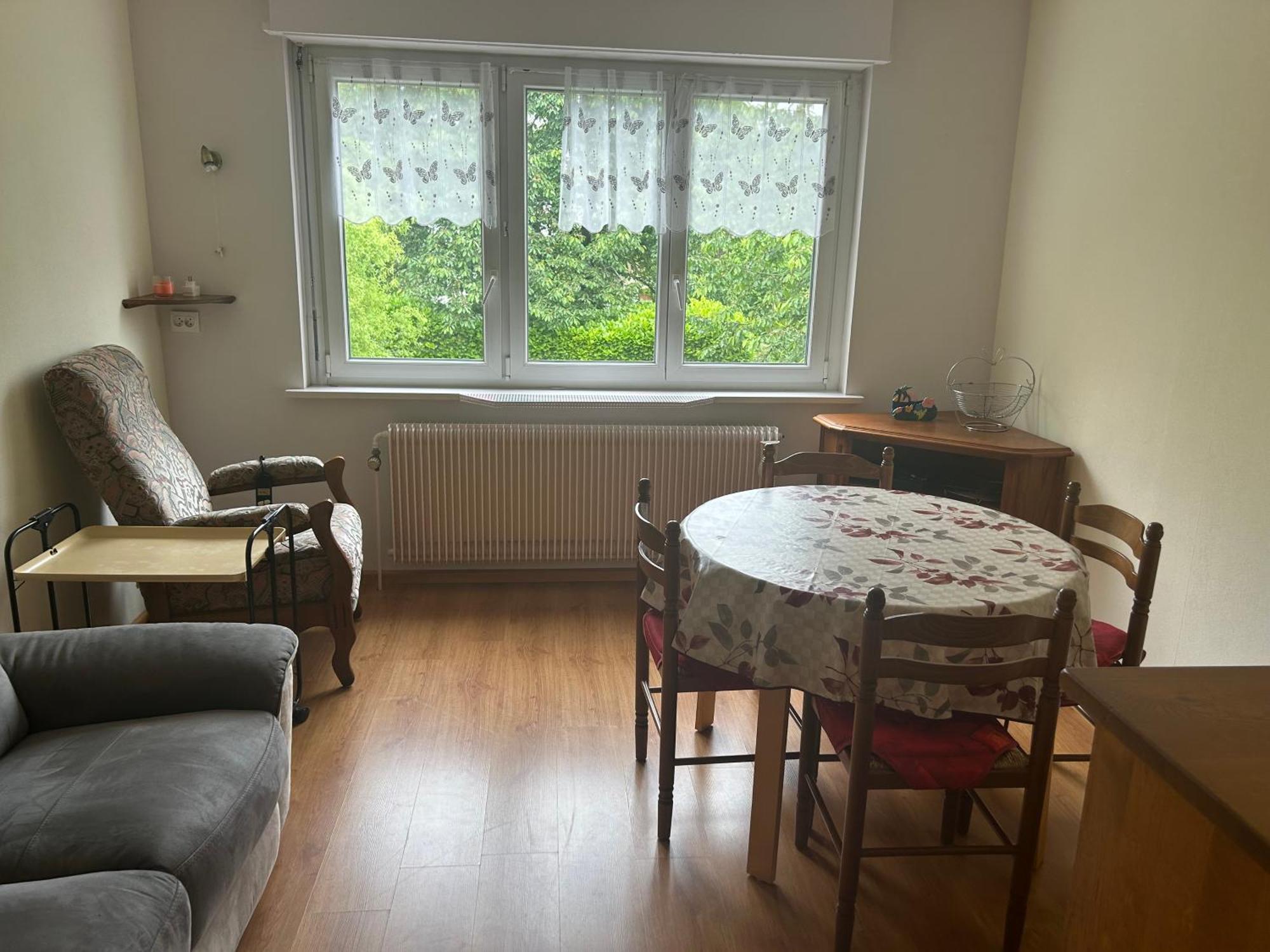 Superbe Maison 3 Chambres 1 Etage Et Sous-Sol, Avec Jardin Et Terrasse Altkirch Zewnętrze zdjęcie